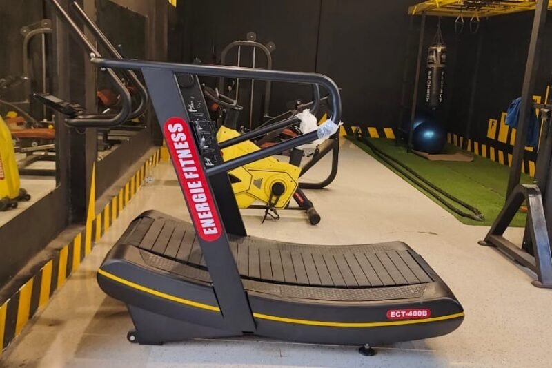 8 Best Treadmills With Shock Absorption in 2026